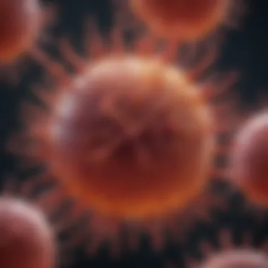 Magnificent CD5 Positive B Cell Lymphoproliferative Disorder: An In-Depth Analysis Magnificent CD5 Positive B Cell Lymphoproliferative Disorder: An In-Depth Analysis