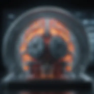Magnificent Comprehensive Insights into 3D MRI Scans Magnificent Comprehensive Insights into 3D MRI Scans