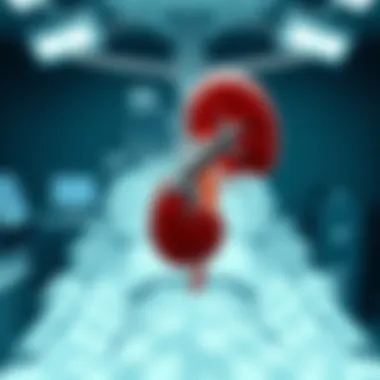 Magnificent The Leading Cause of Kidney Disease: An In-Depth Examination