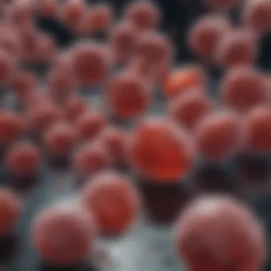 Magnificent The Role of SGLT2 Inhibitors in Chronic Kidney Disease Management Magnificent The Role of SGLT2 Inhibitors in Chronic Kidney Disease Management