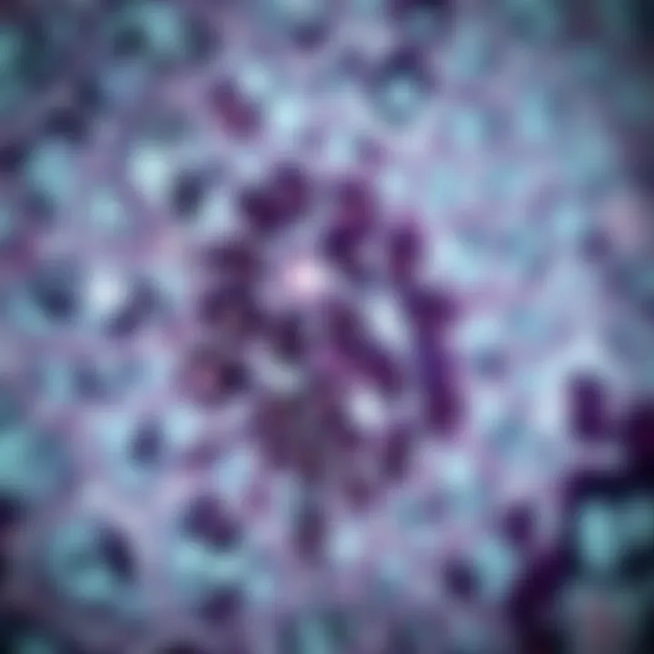 Magnificent Understanding Immunohistochemical Staining: Methodologies, Applications, and Future Directions