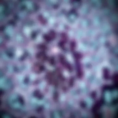 Magnificent Understanding Immunohistochemical Staining: Methodologies, Applications, and Future Directions Magnificent Understanding Immunohistochemical Staining: Methodologies, Applications, and Future Directions