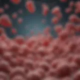 A Thorough Exploration of IGFBP1 Antibody: Implications in Research and Therapeutics Introduction