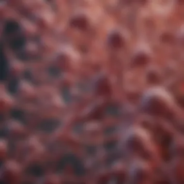 A Thorough Exploration of IGFBP1 Antibody: Implications in Research and Therapeutics Summary