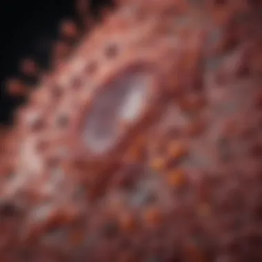 Prevalence of Viral Hepatitis Worldwide Graph illustrating the prevalence of viral hepatitis