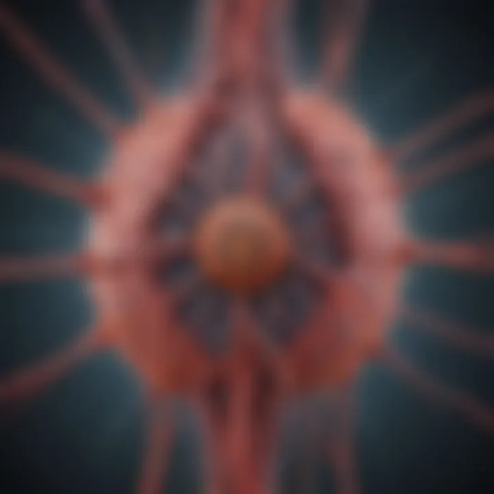 Diagram showing the transmission routes of viral hepatitis