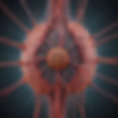 Transmission Routes of Acute Viral Hepatitis Diagram showing the transmission routes of viral hepatitis