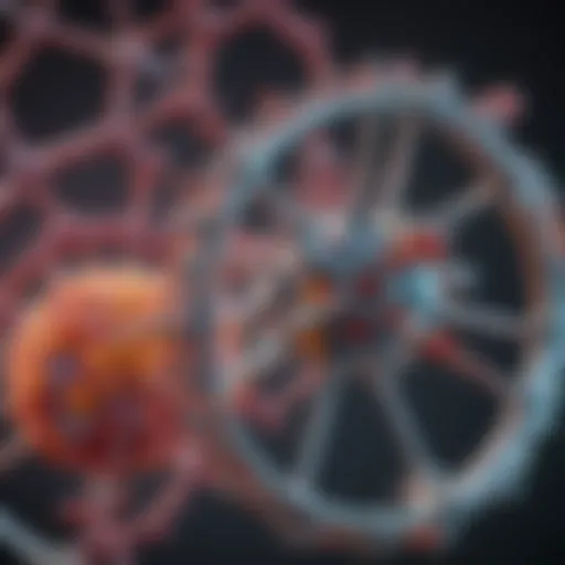 Molecular structure of trypsin highlighting key functional regions