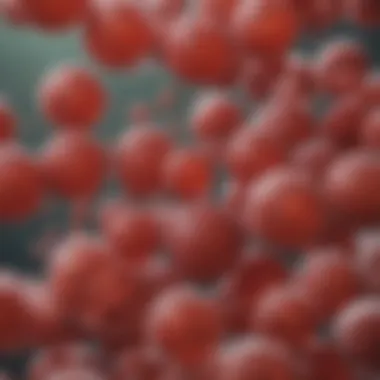 Diversity of Streptococcus Species Graphical representation of Streptococcus species