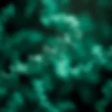 Genetic mutations in bacteria