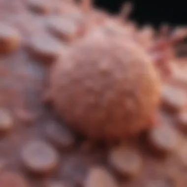 Biological Mechanisms of Squamous Cell Carcinoma Diagram illustrating the biological mechanisms involved in SCC