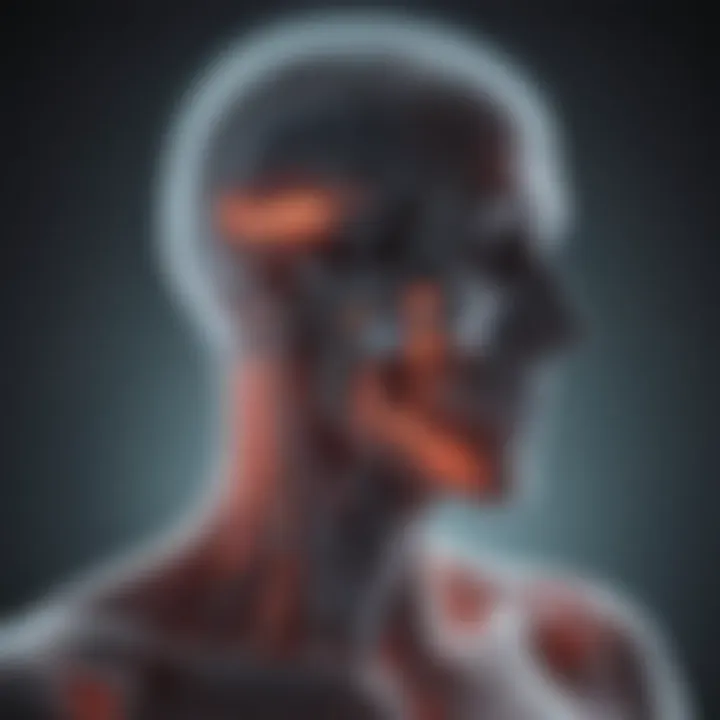 Illustration of treatment planning based on X-ray findings
