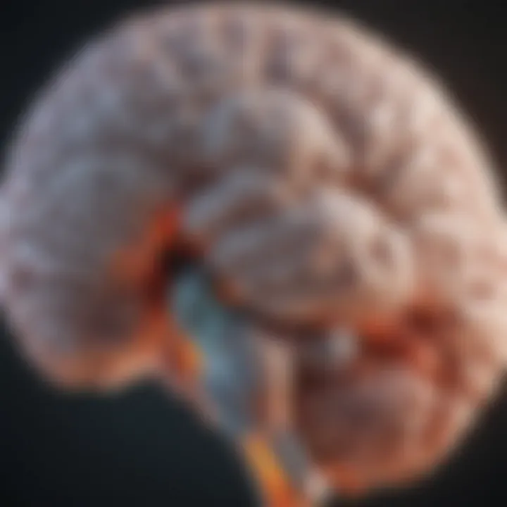 Illustration of brain highlighting tumor detection by PET scan
