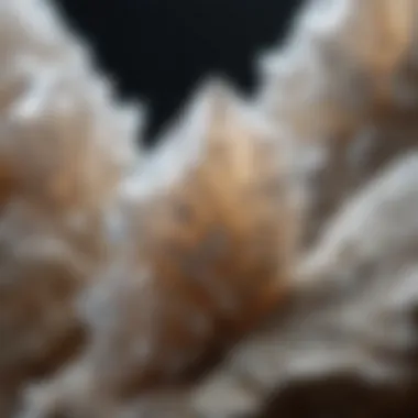 Close-up view of calcite crystals showcasing their unique formation