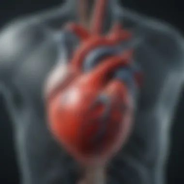 Understanding Cardiac Metabolism Insights into cardiac metabolism and perfusion