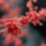 Structural representation of CD3 beads showcasing their composition.