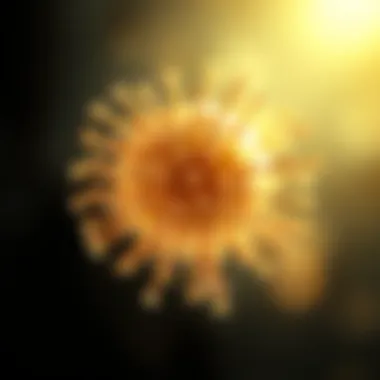 Illustration depicting T-cell activation facilitated by CD3 beads.