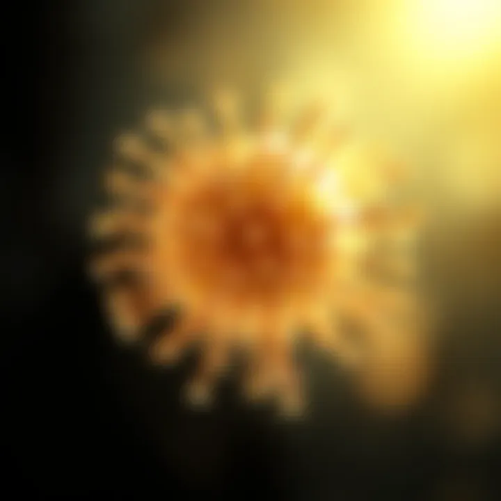 Illustration depicting T-cell activation facilitated by CD3 beads.