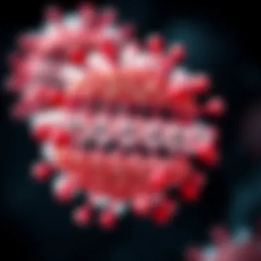 Visual representation of advancements in CD3 bead technology.