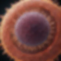 CD5 Positive B Cell Lymphoproliferative Disorder: An In-Depth Analysis Introduction