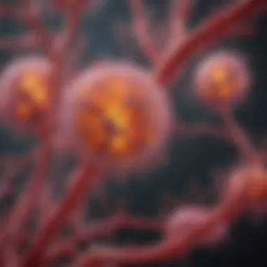 Cellular Pathways Affected by Chronic Inflammation Graphical representation of cellular pathways influenced by chronic inflammation.