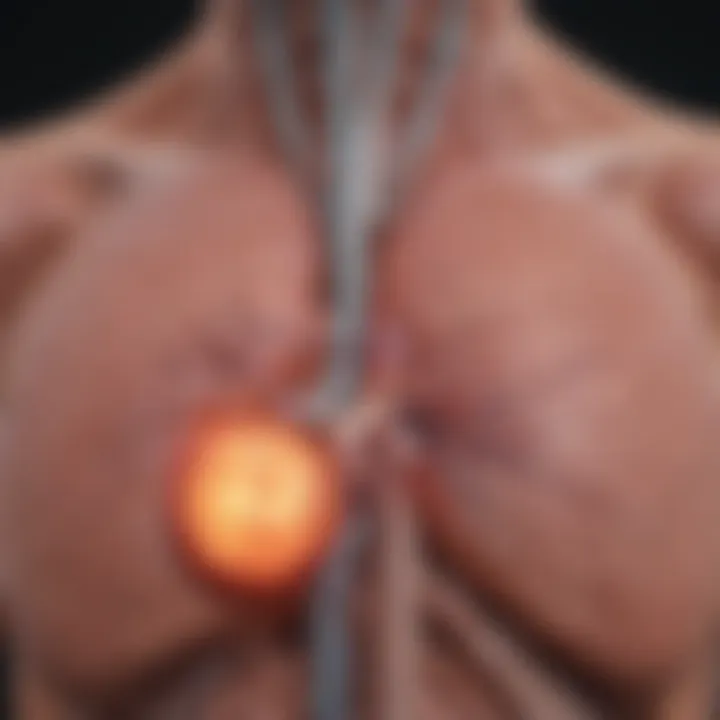 Radiological imaging showing liver affected by metastasis