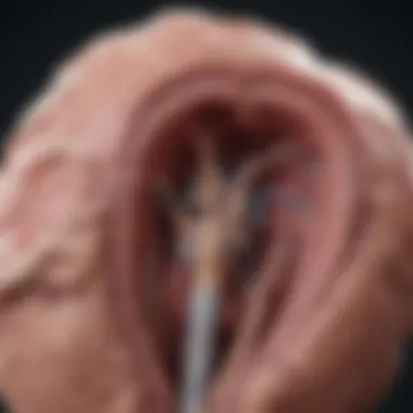Anatomical Overview of Clival Chordoma Detailed diagram of clival chordoma location