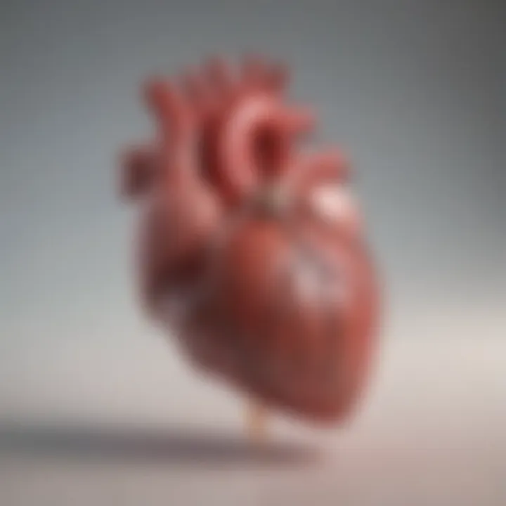 Illustration of a heart experiencing myocardial infarction