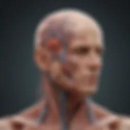 Illustration depicting the anatomy of the central nervous system affected by lymphoma.