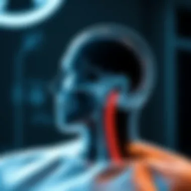 Comprehensive Approaches to Chronic Whiplash Treatment Summary Comprehensive Approaches to Chronic Whiplash Treatment Summary