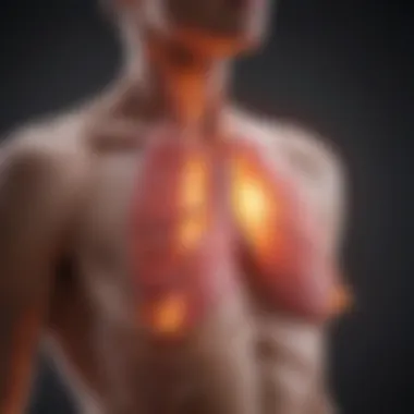 Pharmacological Treatments for Acid Reflux Cough Visual representation of pharmacological treatments for acid reflux cough