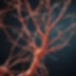 Detailed structure of amyloid fibrils at the molecular level