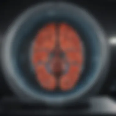 Notable Comprehensive Insights into 3D MRI Scans Notable Comprehensive Insights into 3D MRI Scans