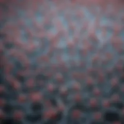 Detailed representation of mammalian cell lines illustrating their structure and diversity