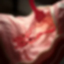 Detailed diagram of the coagulation cascade in DIC