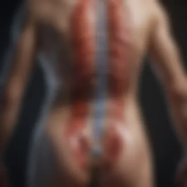 Conservative Treatment Options A diagram showing conservative treatment options for ruptured lumbar discs