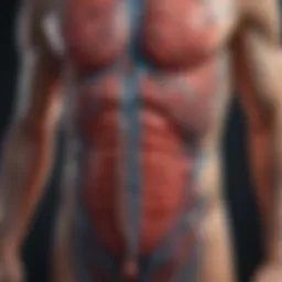 An intricate diagram illustrating the various bodily systems affected by diabetes