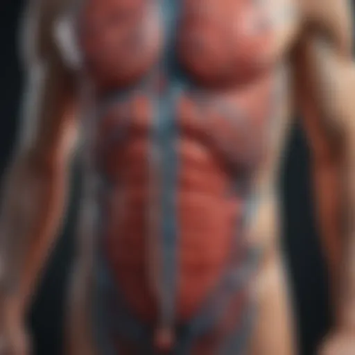 An intricate diagram illustrating the various bodily systems affected by diabetes