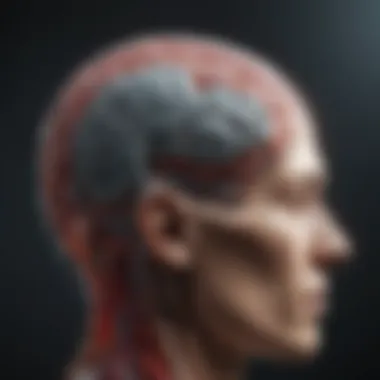 Advancements in Neuroimaging Technology Innovative technology in neuroimaging