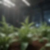 Genetic research in plant science