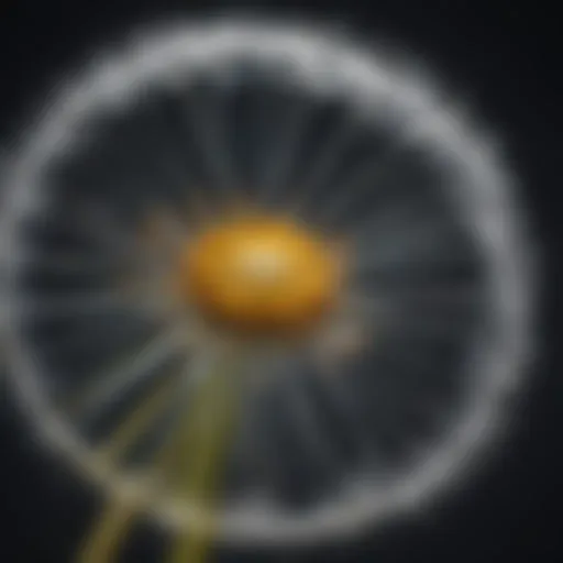 A close-up of a dandelion flower showcasing its intricate petal structure.