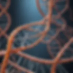 Illustration of DNA double helix structure