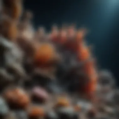 Hidden Wonders: Geological Formations of the Deep Unique geological formations found in the deep ocean