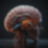 Detailed brain scan showcasing effects of alcohol exposure