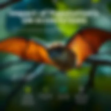 Impact of Bat Populations on Ecosystems An infographic highlighting the impact of bat populations on local ecosystems and disease spread.