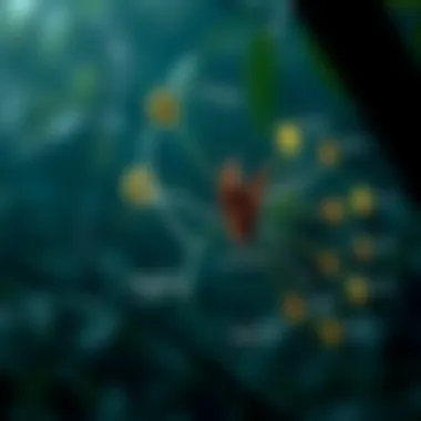 Zoonotic Disease Transmission A detailed diagram illustrating the transmission pathways of zoonotic diseases from bats to other animals.