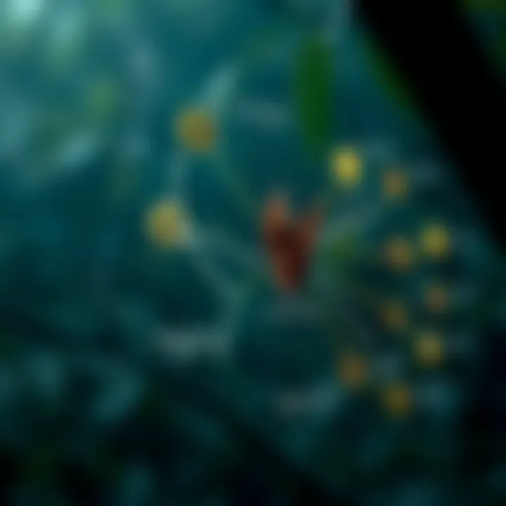 Zoonotic Disease Transmission A detailed diagram illustrating the transmission pathways of zoonotic diseases from bats to other animals.