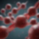 Hepatitis C antibodies in the bloodstream