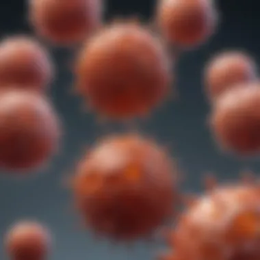Eosinophils Structure and Characteristics Illustration depicting the structure and characteristics of eosinophils.