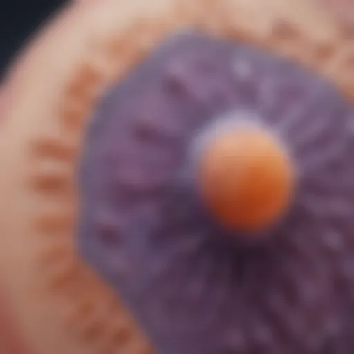 Microscopic view of epidermal stem cells showcasing their unique structures.